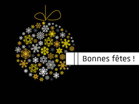 Visuel graphique Bonnes Fêts (boule de Noël formé de flocons)hoto automne (Pixab