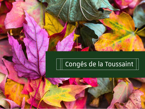 Visuel graphique avec photo automne (Pixabay, Stocksnap/Myriam Lakraa)